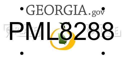 PML8288 Georgia License Plate
