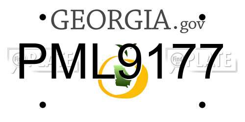 PML9177 Georgia License Plate