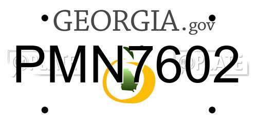 PMN7602 Georgia License Plate