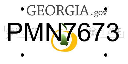 PMN7673 Georgia License Plate