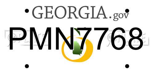 PMN7768 Georgia License Plate