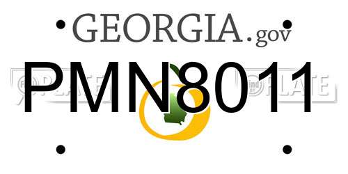 PMN8011 Georgia License Plate