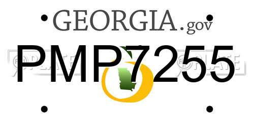 PMP7255 Georgia License Plate