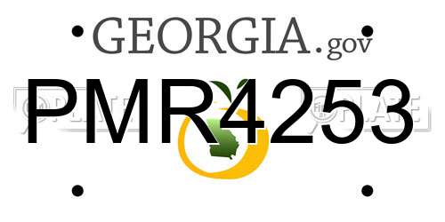PMR4253 Georgia License Plate