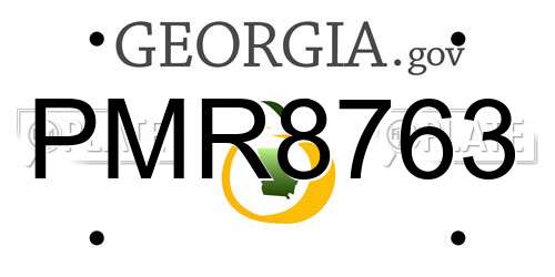 PMR8763 Georgia License Plate