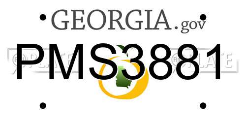 PMS3881 Georgia License Plate