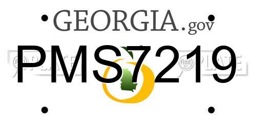 PMS7219 Georgia License Plate
