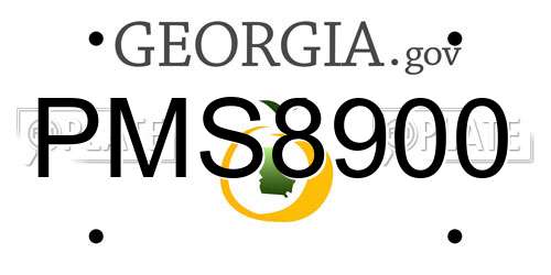 PMS8900 Georgia License Plate