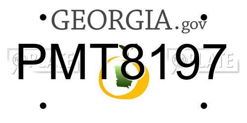 PMT8197 Georgia License Plate