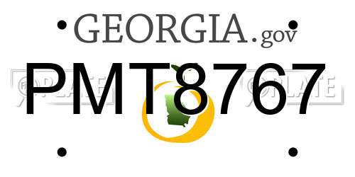 PMT8767 Georgia License Plate