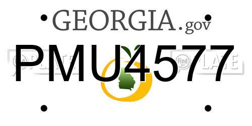 PMU4577 Georgia License Plate
