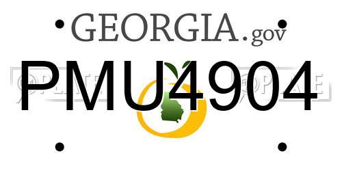PMU4904 Georgia License Plate