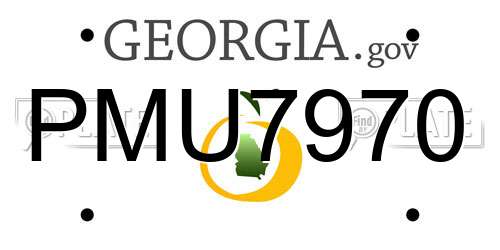 PMU7970 Georgia License Plate