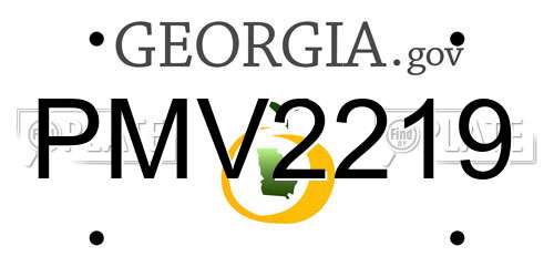 PMV2219 Georgia License Plate