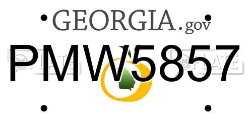 PMW5857 Georgia License Plate