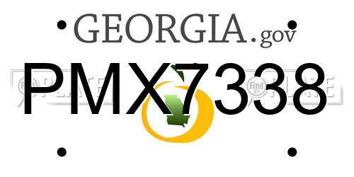 PMX7338 Georgia License Plate