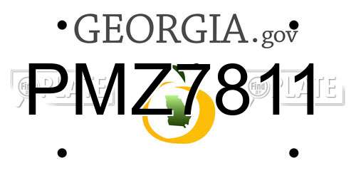 PMZ7811 Georgia License Plate