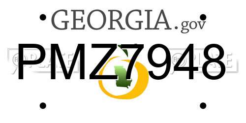 PMZ7948 Georgia License Plate