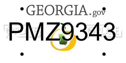 PMZ9343 Georgia License Plate