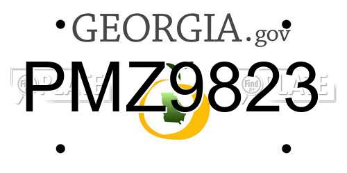 PMZ9823 Georgia License Plate