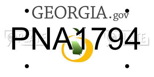 PNA1794 Georgia License Plate