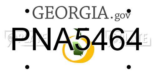 PNA5464 Georgia License Plate