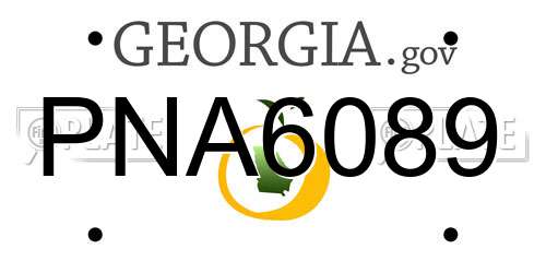 PNA6089 Georgia License Plate