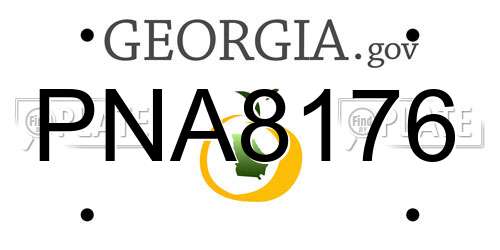 PNA8176 Georgia License Plate