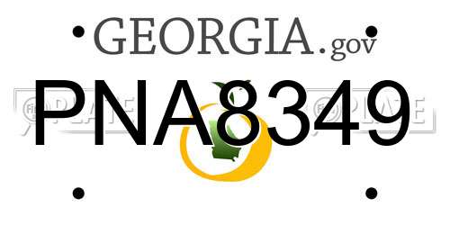 PNA8349 Georgia License Plate