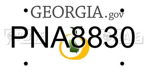 PNA8830 Georgia License Plate