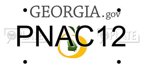 PNAC12 Georgia License Plate