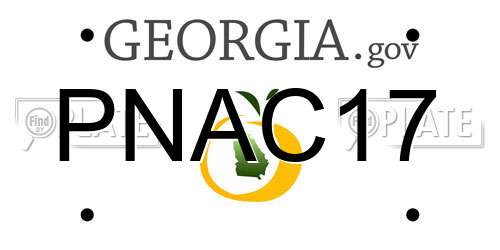 PNAC17 Georgia License Plate