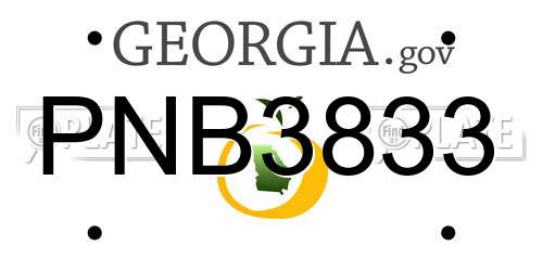 PNB3833 Georgia License Plate