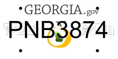 PNB3874 Georgia License Plate