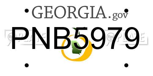 PNB5979 Georgia License Plate