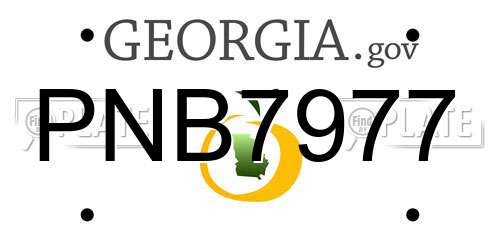 PNB7977 Georgia License Plate