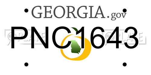 PNC1643 Georgia License Plate