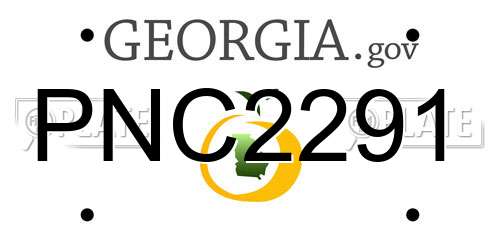 PNC2291 Georgia License Plate