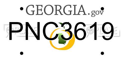 PNC3619 Georgia License Plate