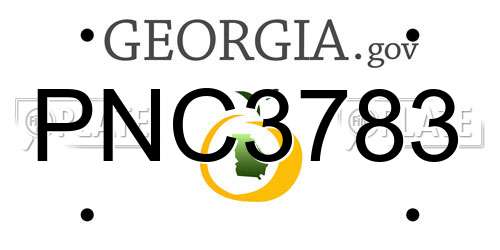 PNC3783 Georgia License Plate