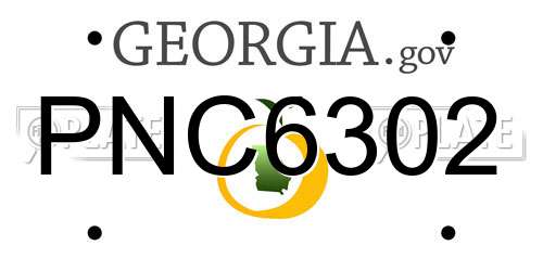 PNC6302 Georgia License Plate