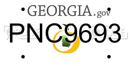 PNC9693 Georgia License Plate