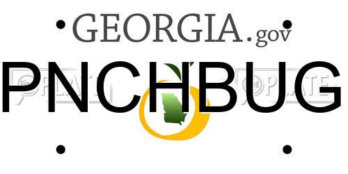 PNCHBUG Georgia License Plate