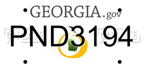 PND3194 Georgia License Plate