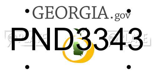 PND3343 Georgia License Plate