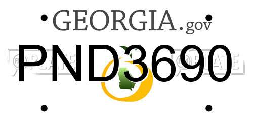 PND3690 Georgia License Plate