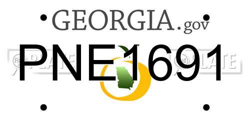 PNE1691 Georgia License Plate