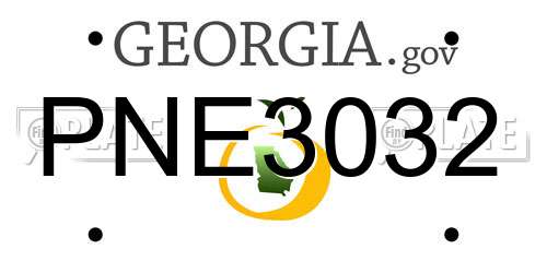 PNE3032 Georgia License Plate
