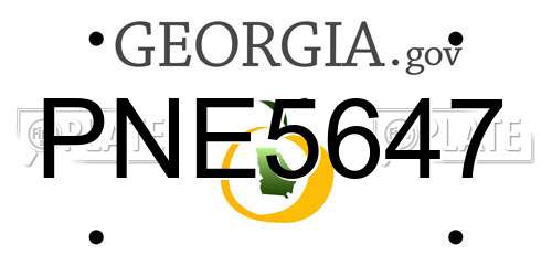 PNE5647 Georgia License Plate