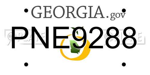 PNE9288 Georgia License Plate